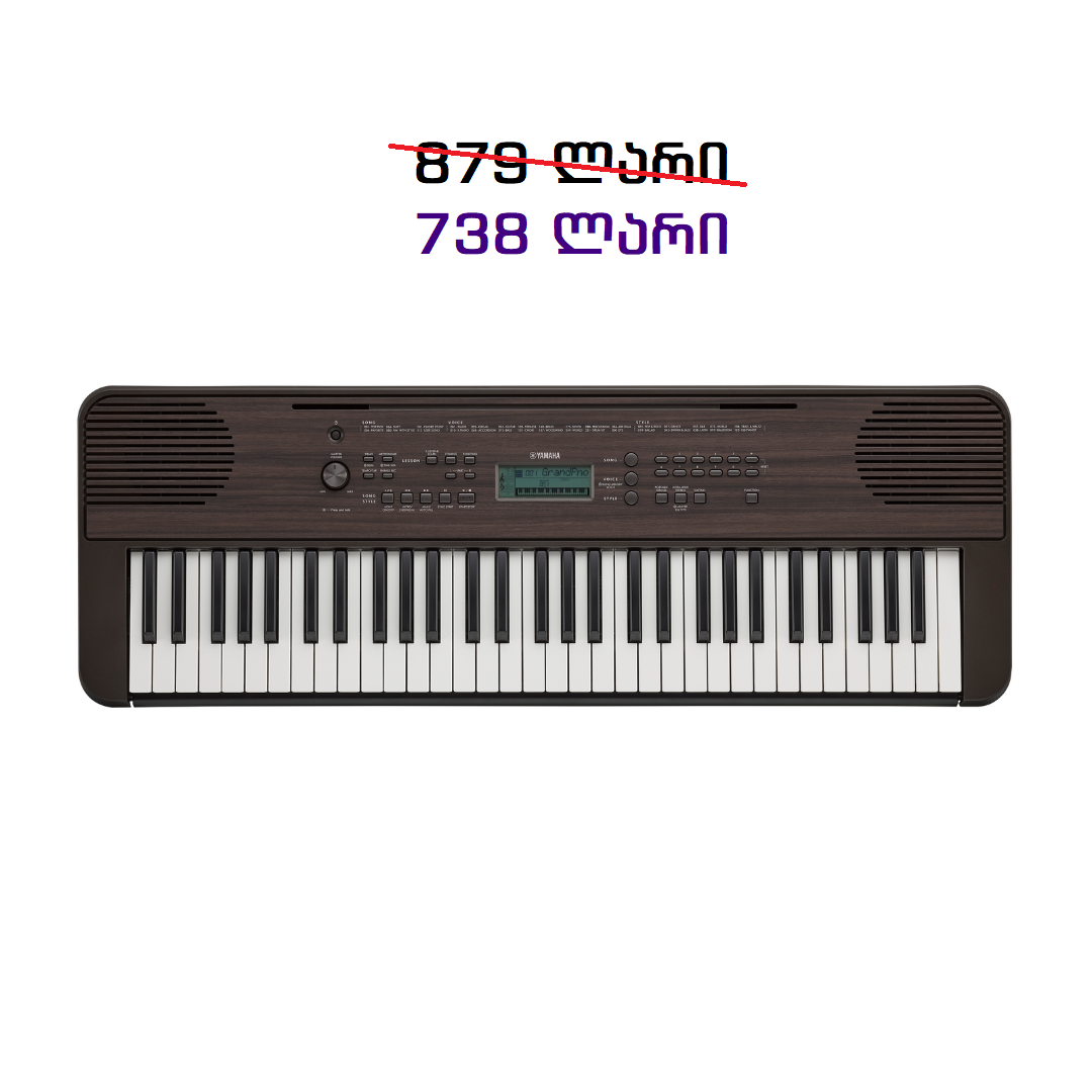 PSR-E360